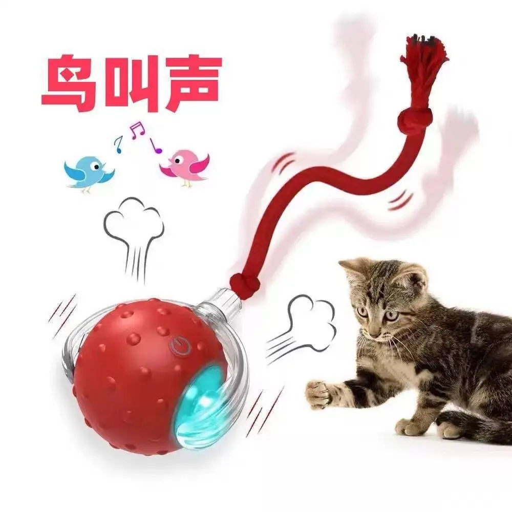 Cross-Border Pet Toy Ball, Cat Ball, Dog and Cat Self-Entertainment Gadget, Pet Toy, Pet Supplies, Cat Toy