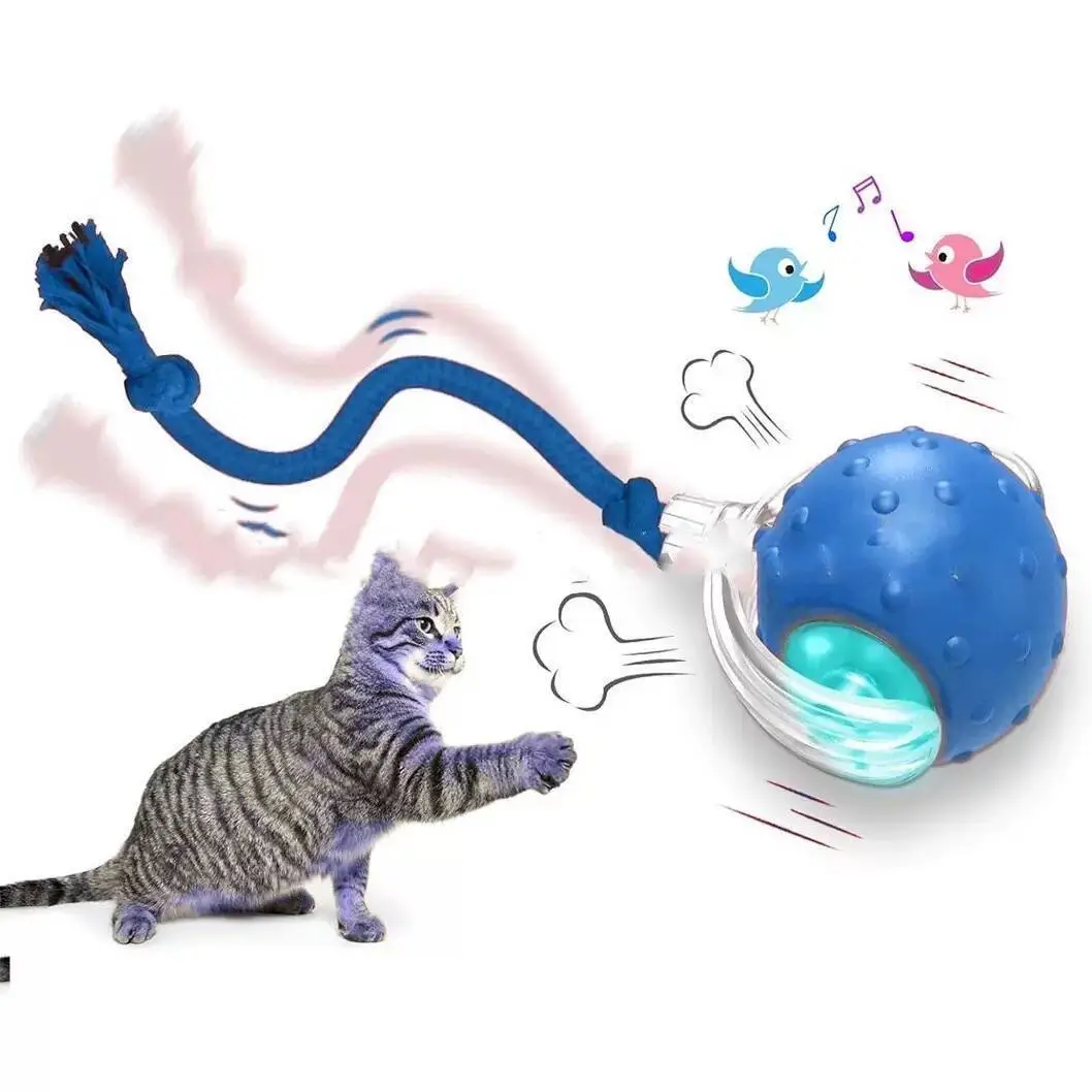 Cross-Border Pet Toy Ball, Cat Ball, Dog and Cat Self-Entertainment Gadget, Pet Toy, Pet Supplies, Cat Toy