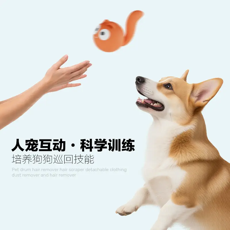 Pet Shark Slippers, Latex Sound-Making Toys, Interactive Training, Self-Entertainment, Cross-Border Pet Supplies, Dog Toys