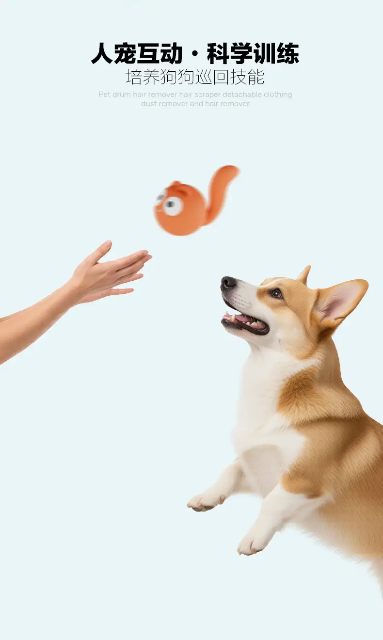 Pet Shark Slippers, Latex Sound-Making Toys, Interactive Training, Self-Entertainment, Cross-Border Pet Supplies, Dog Toys — feature 8