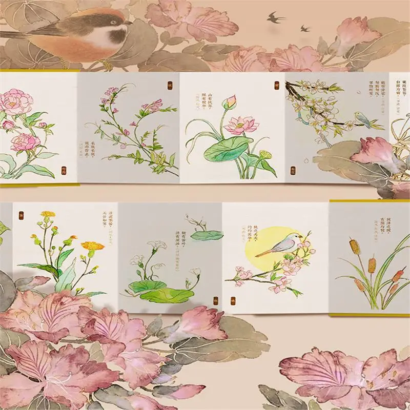 Feile Bird Watercolor Line Drawing Set: Elegant Pocket Art Supplies for Coloring Jiangshan Landscape Paintings, Plants, and the Forbidden City