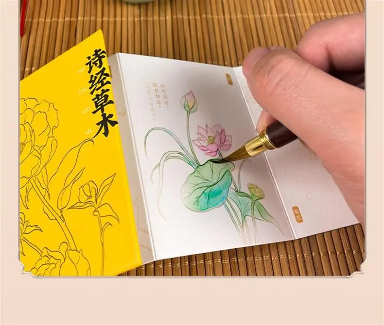 Feile Bird Watercolor Line Drawing Set: Elegant Pocket Art Supplies for Coloring Jiangshan Landscape Paintings, Plants, and the Forbidden City — feature 24