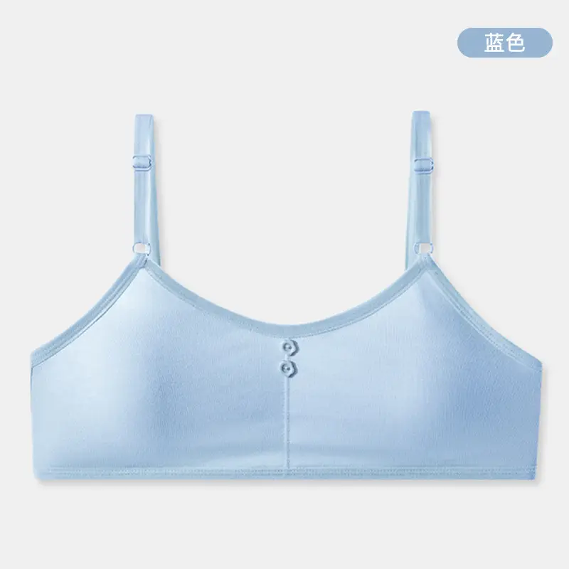 Teenage Girls' Underwear for the Developmental Period, Student-Friendly, Beautiful Back Design, Small Vest-Style, Fixed Cup, Thin, Wireless, Strapless Bra