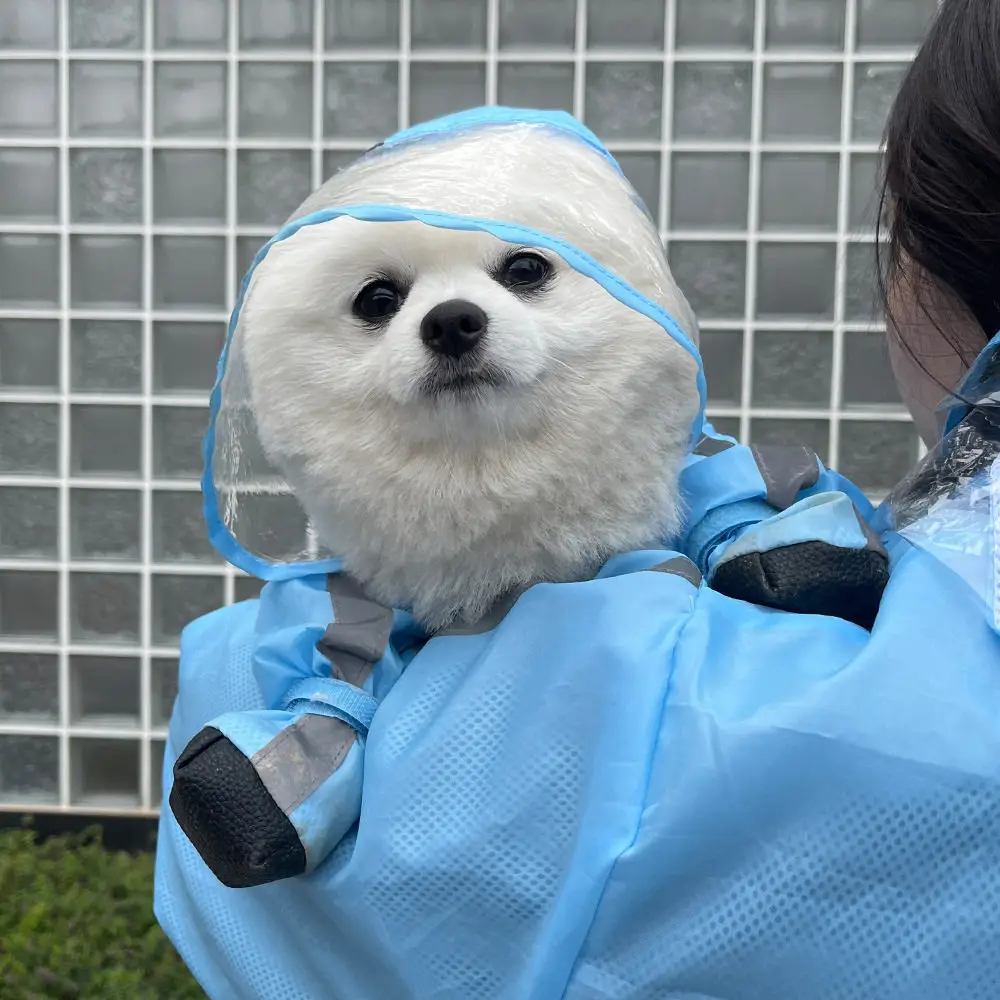 Dog Raincoat with Full Coverage for All Four Legs, Waterproof, for Small Dogs Like Bichon, Teddy, Pomeranian, and Schnauzer — feature 14