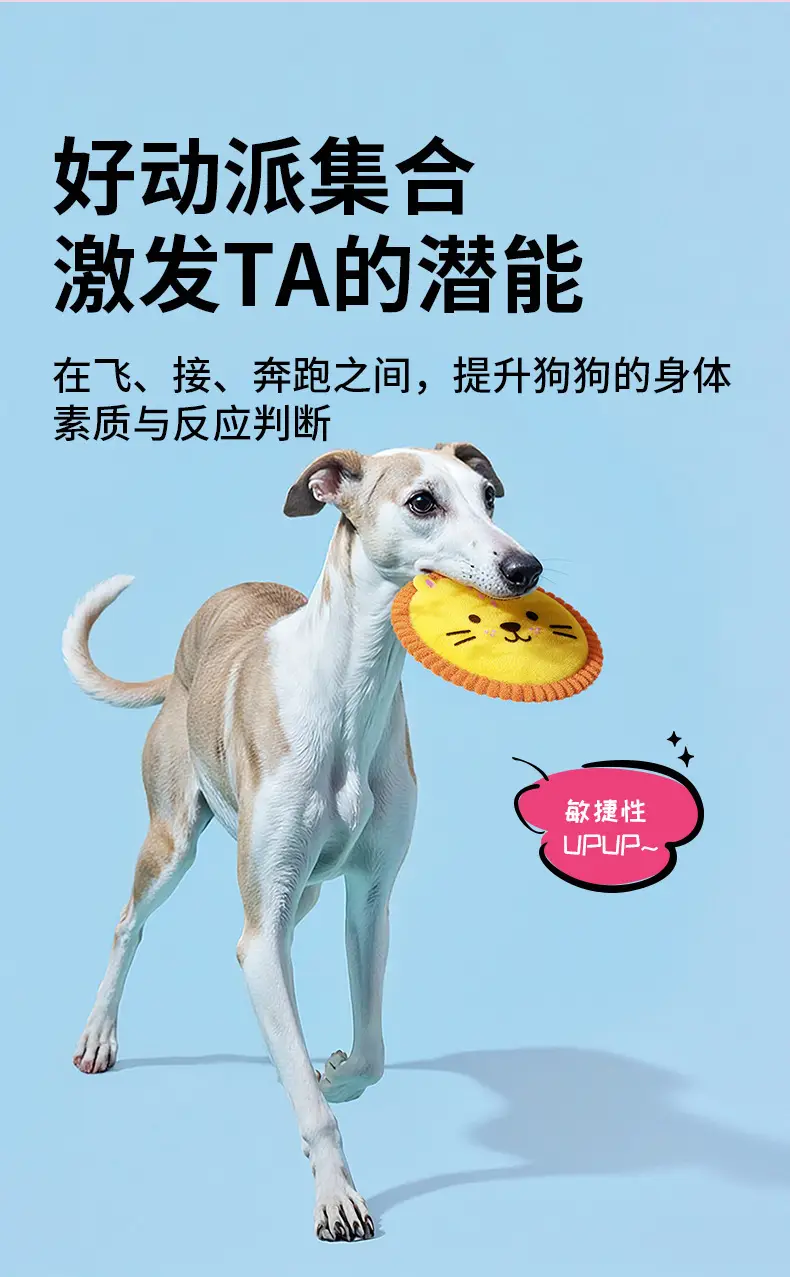 Pet Plush Frisbee Dog Toy with Squeaky Paper Sound, Cute Interactive Teething-Resistant Training Toy — feature 2