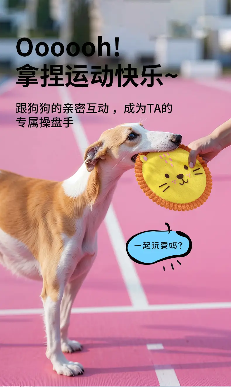 Pet Plush Frisbee Dog Toy with Squeaky Paper Sound, Cute Interactive Teething-Resistant Training Toy — feature 5