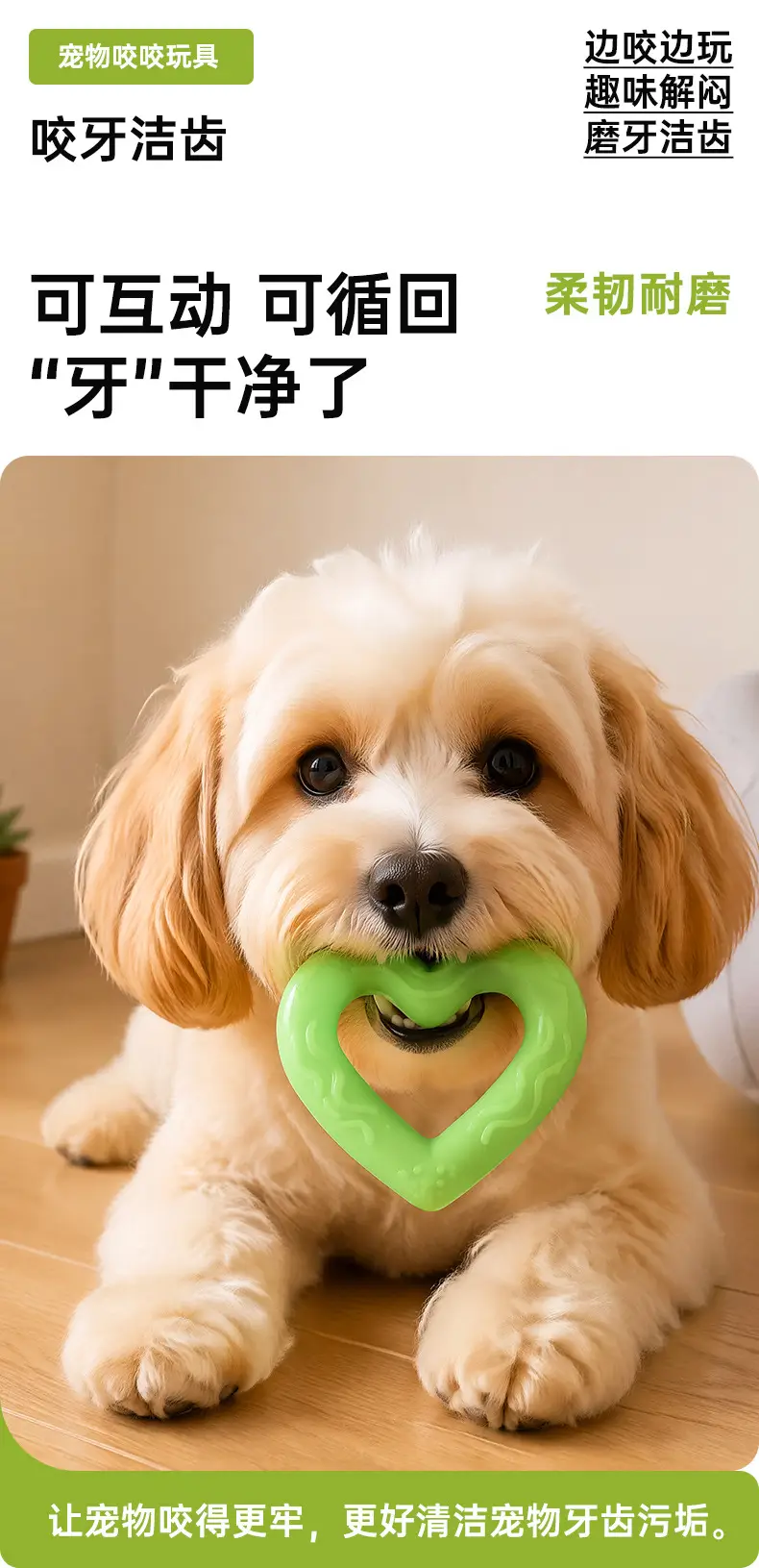Factory Direct Sales of Bite-Resistant and Teeth-Grinding Pet Dog Toy Balls, Tpr Boredom-Relief Gadget, Wholesale of Teddy Pet Supplies — feature 2