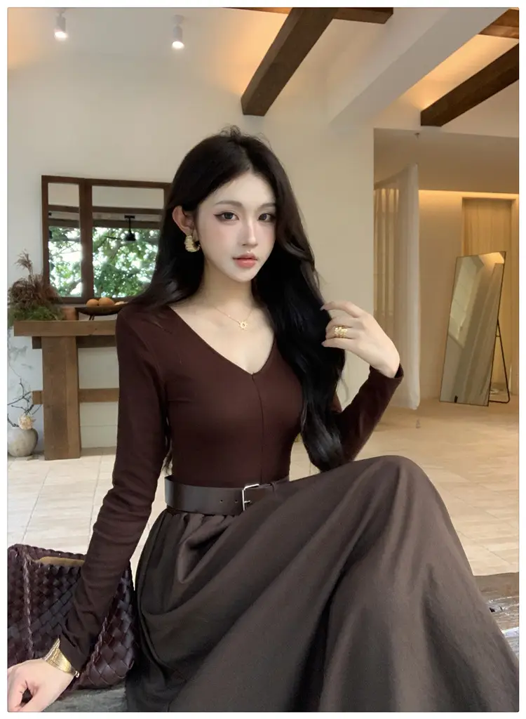 Cross-border foreign trade elegant long-sleeve dress 2026 autumn new fashion waist-cinching mature chic A-line long dress for women — feature 13