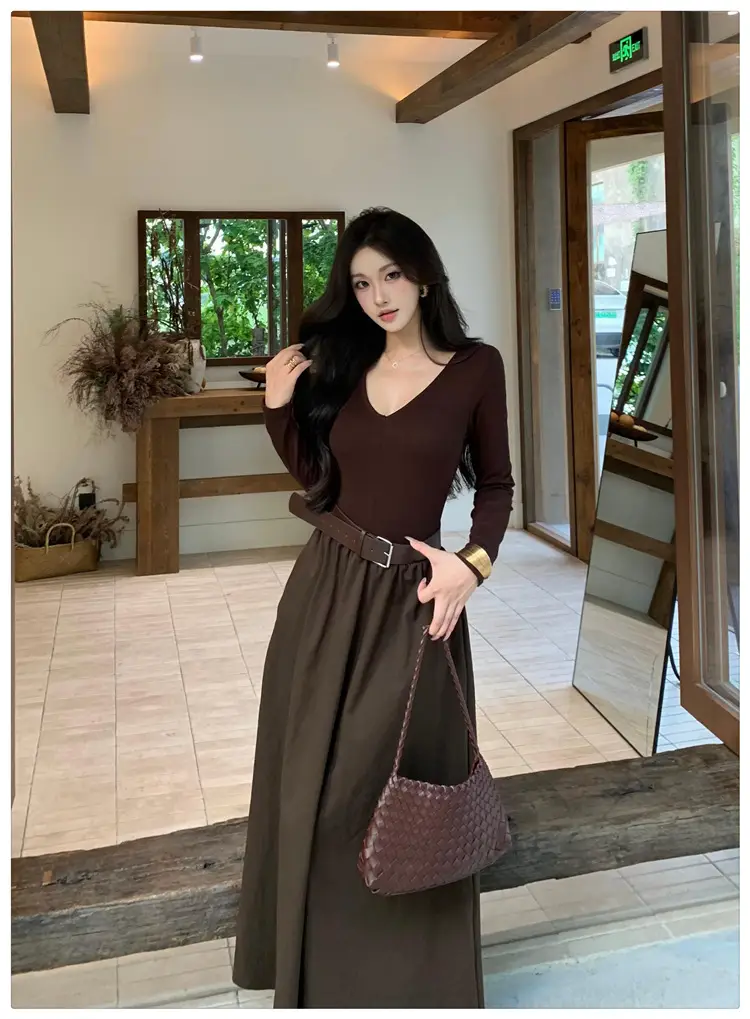 Cross-border foreign trade elegant long-sleeve dress 2026 autumn new fashion waist-cinching mature chic A-line long dress for women — feature 14