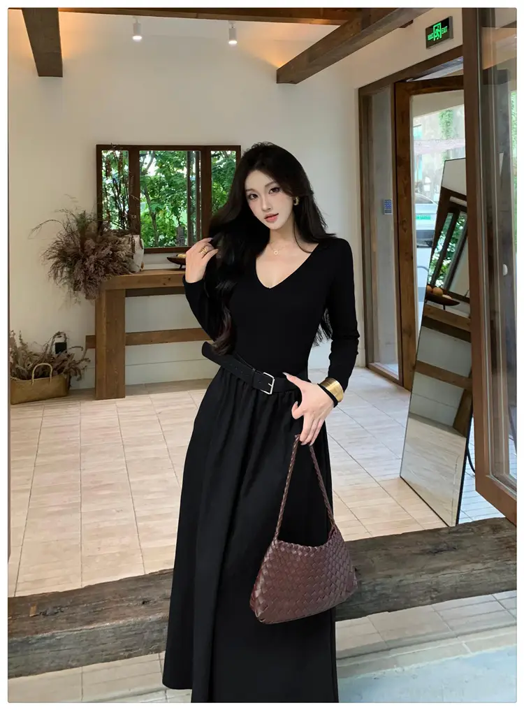Cross-border foreign trade elegant long-sleeve dress 2026 autumn new fashion waist-cinching mature chic A-line long dress for women — feature 17