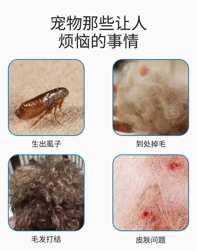 Pet Flea Comb Cat Dog Lice Removal Comb — feature 2