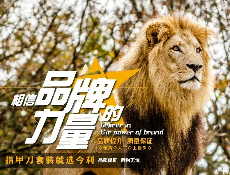 品牌的力量1
