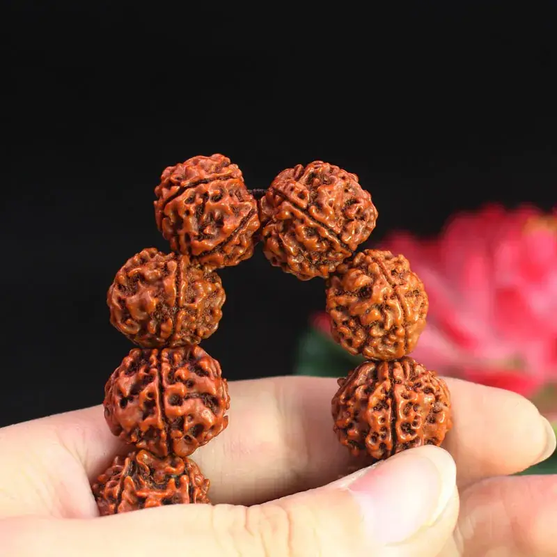 Natural Five-Petal Rudraksha Beads for Bracelet - Image 5