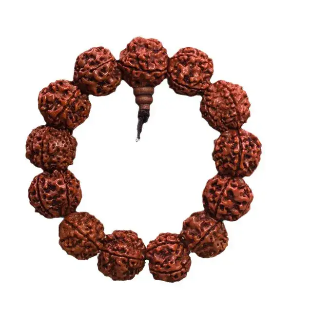 Natural Five-Petal Rudraksha Beads for Bracelet - Image 6