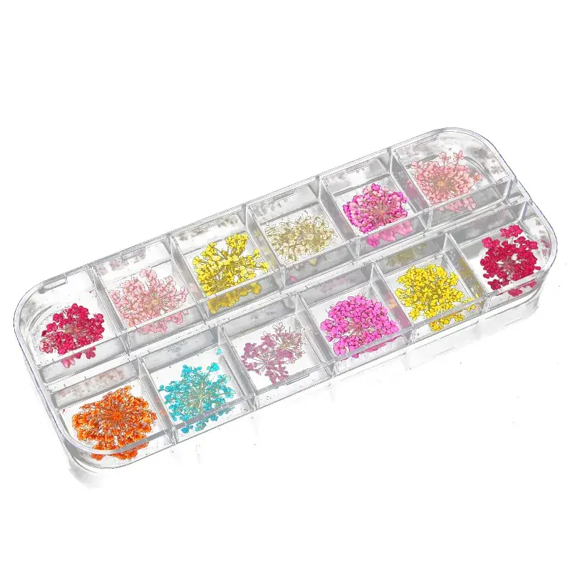 12 Color Dried Flower Nail Art Strip Box - Image 5