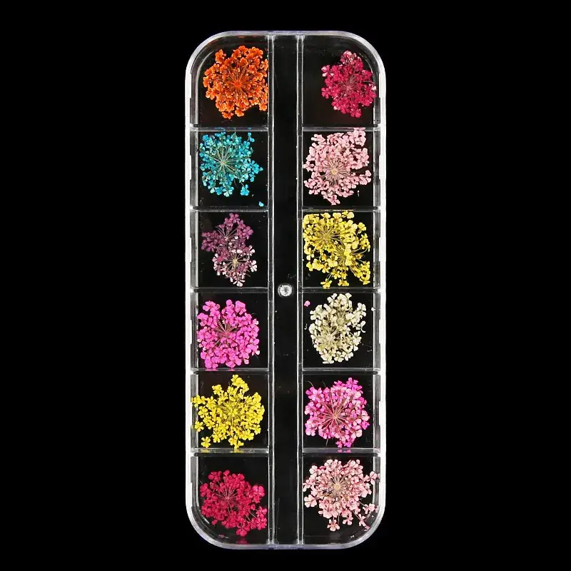 12 Color Dried Flower Nail Art Strip Box
