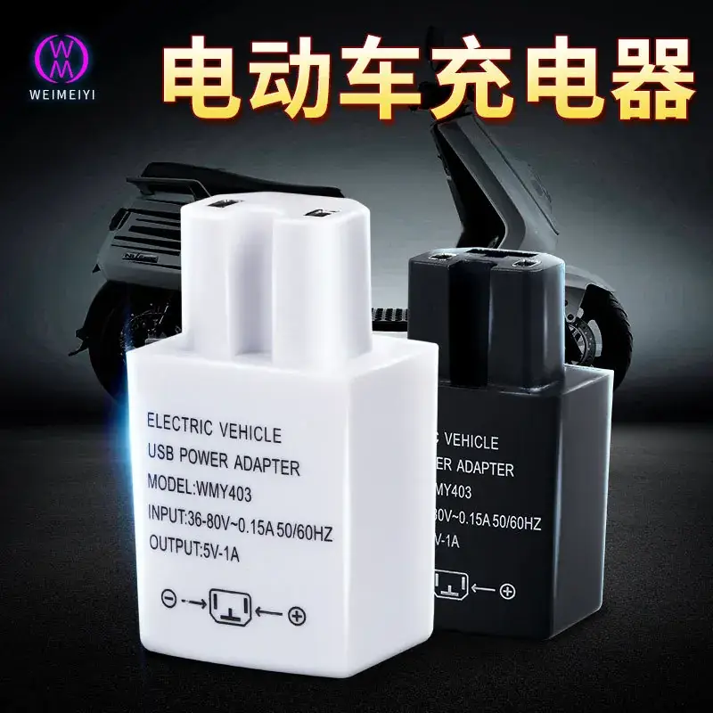 12-100V Electric Car Charger with Digital Display