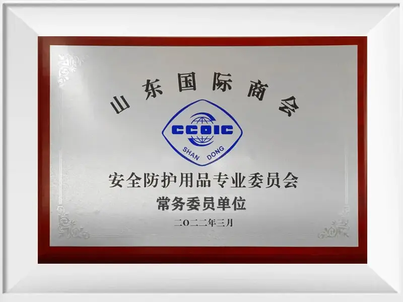 常务委员单位