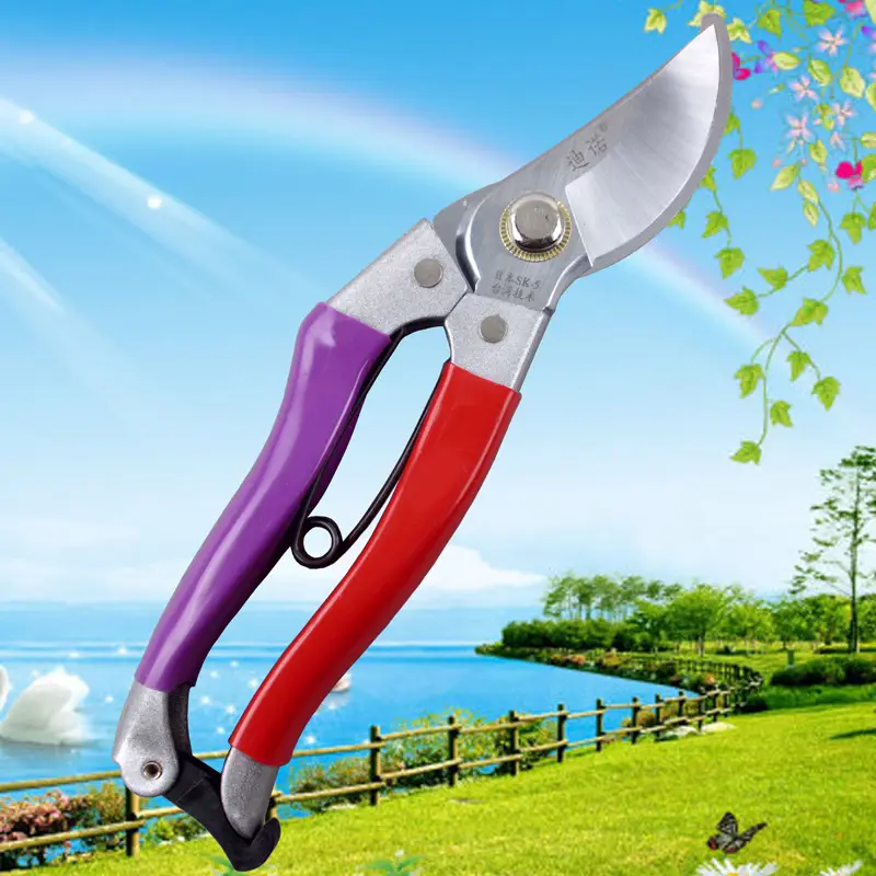 Factory Price Wholesale Dino Garden Pruning Tools Taiwan sk-5 Fruit Branch Shears Gardening Fruit Tree Pruning Shears Sharp Scissors
