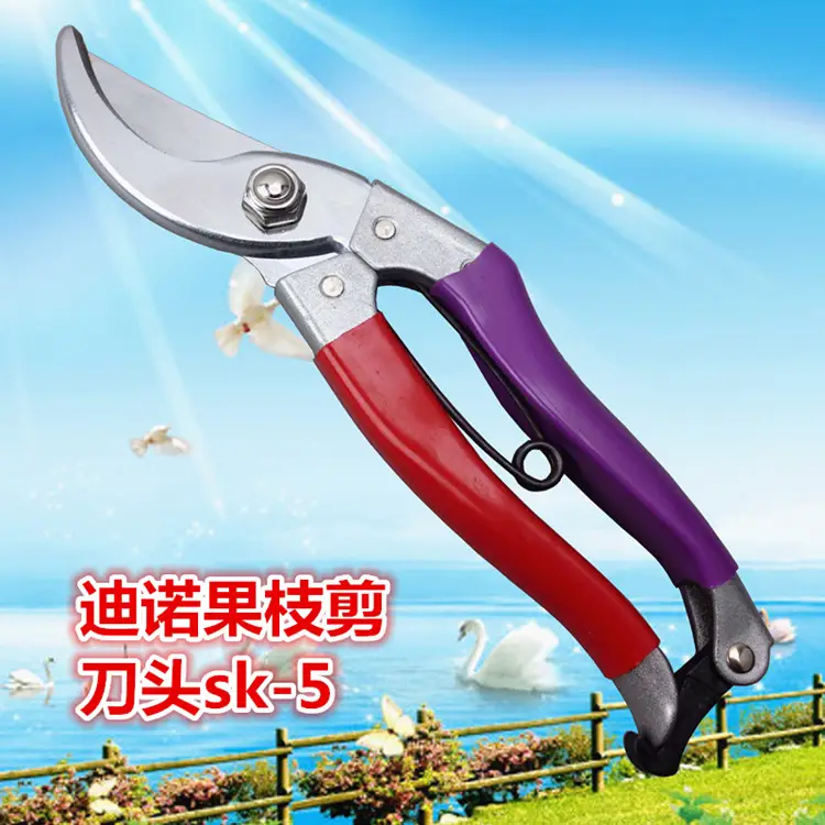 Factory Price Wholesale Dino Garden Pruning Tools Taiwan sk-5 Fruit Branch Shears Gardening Fruit Tree Pruning Shears Sharp Scissors — feature 5