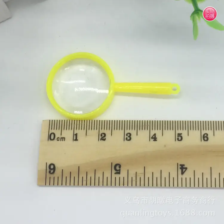 Mini Plastic Magnifying Glass 2.5x5cm Handheld - Image 5