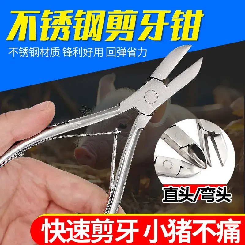 Stainless Steel Piglet Fixer 10cm Small Medium