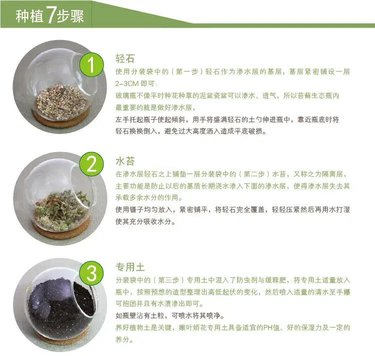 后言1(修改)