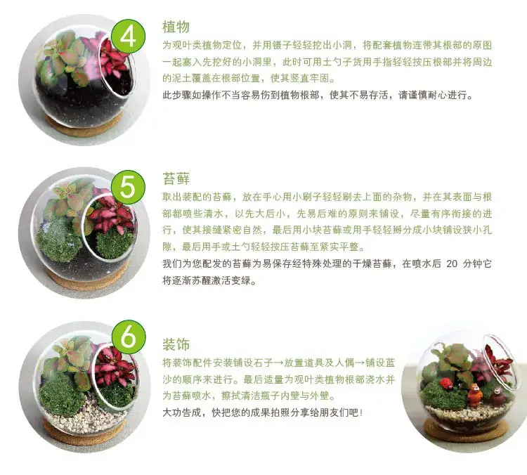 后言2(修改)