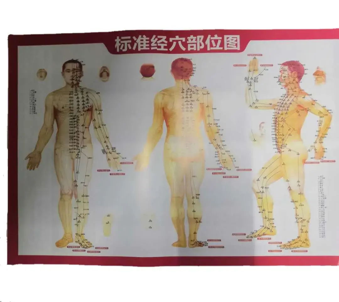 Golden Magnetic Meridian Beauty Brush for Body Tendon Massage - Image 3