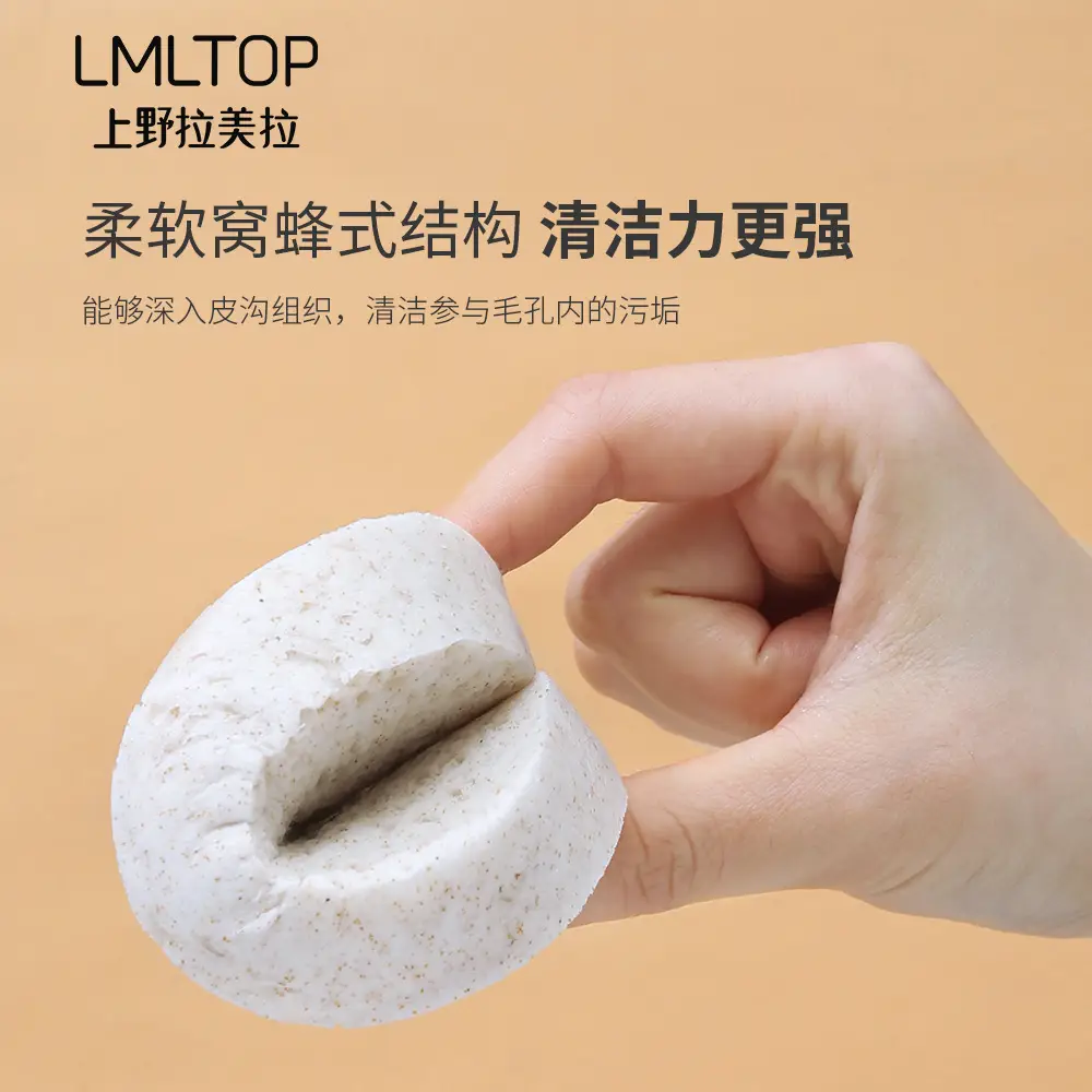 Walnut Skin Micro Particle Cleansing Sponge Set of 2