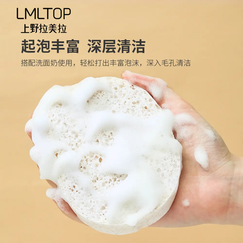 Walnut Skin Micro Particle Cleansing Sponge Set of 2