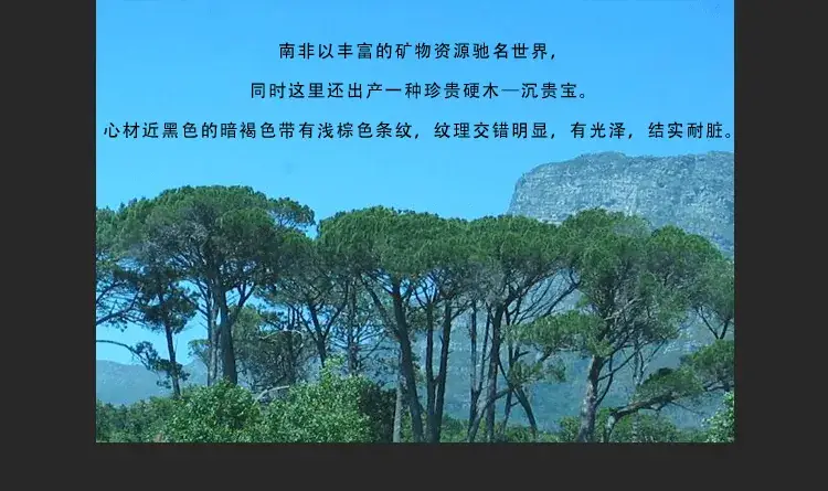 沉贵宝KB2-5_03