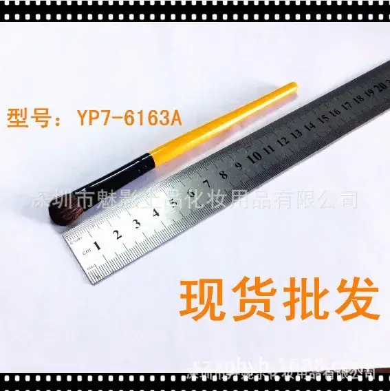 Shenzhen Makeup Brush Eyelid & Eye Shadow Set