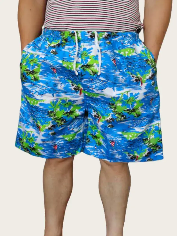 Men's 2025 Printed Beach Pants Thin Casual Straight - Image 23