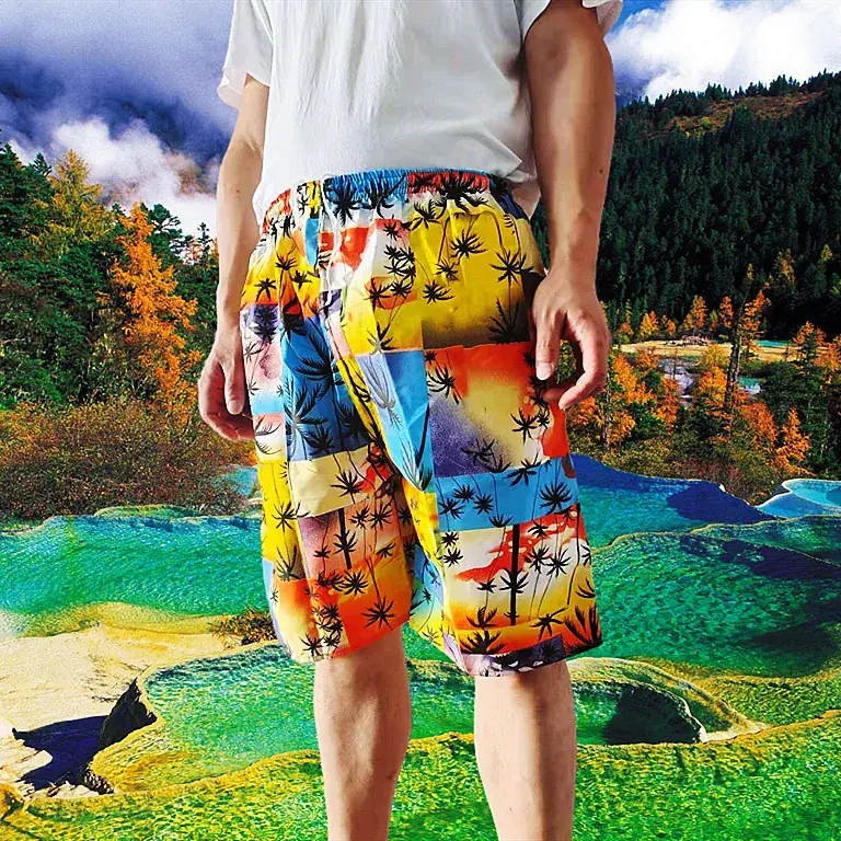 Men's 2025 Printed Beach Pants Thin Casual Straight - Image 26