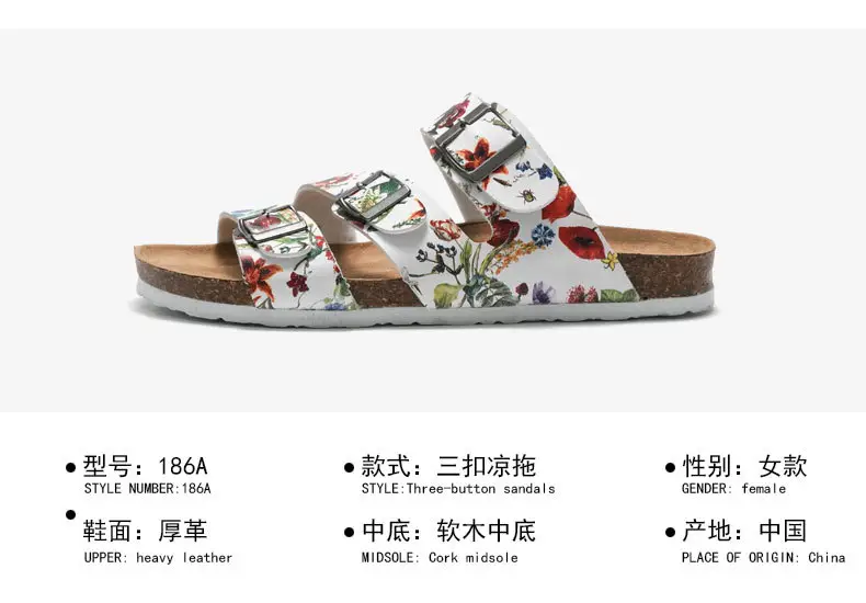 基本介绍单款.jpg