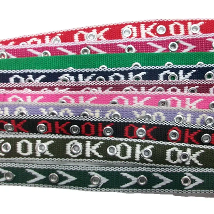 Woven Aluminum Eye Belt for Girls & Women - Image 7