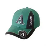 Dark Brown Baseball Cap Fabric JYF-024 - Image 3