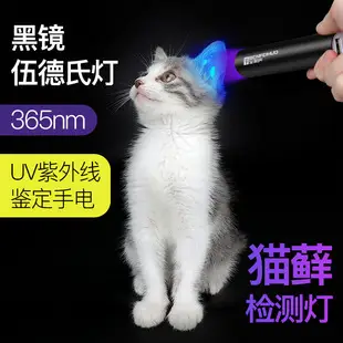 365 Rechargeable Purple LED Flashlight with Banknote Detection — feature 15