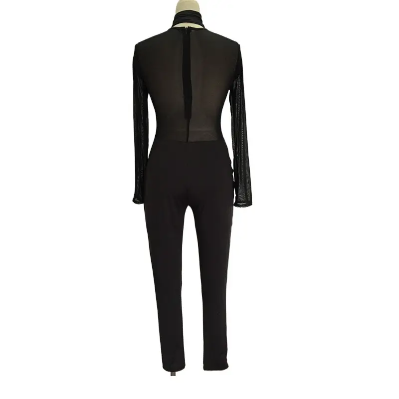 Black Long Sleeve Gauze Dress for Women