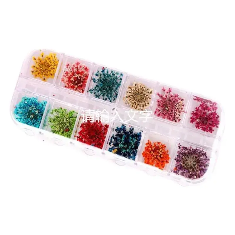 12 Color Nail Stickers for DIY Nail Art