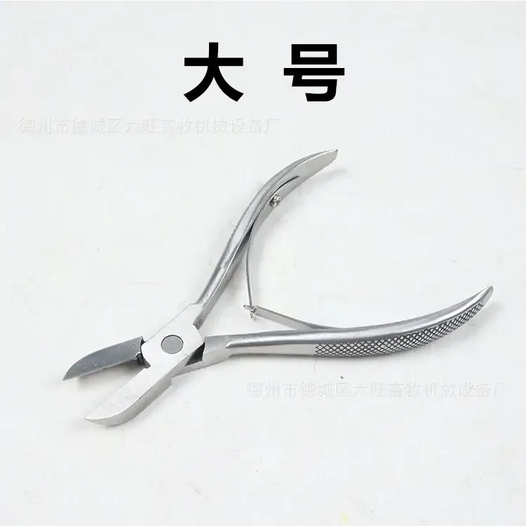 Stainless Steel Veterinary Dental Pliers Large Size