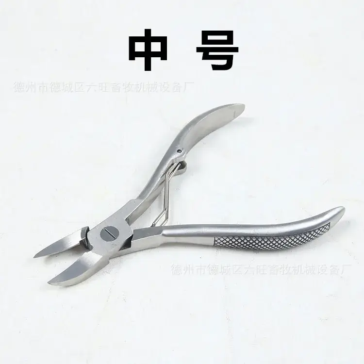 Stainless Steel Veterinary Dental Pliers Large Size