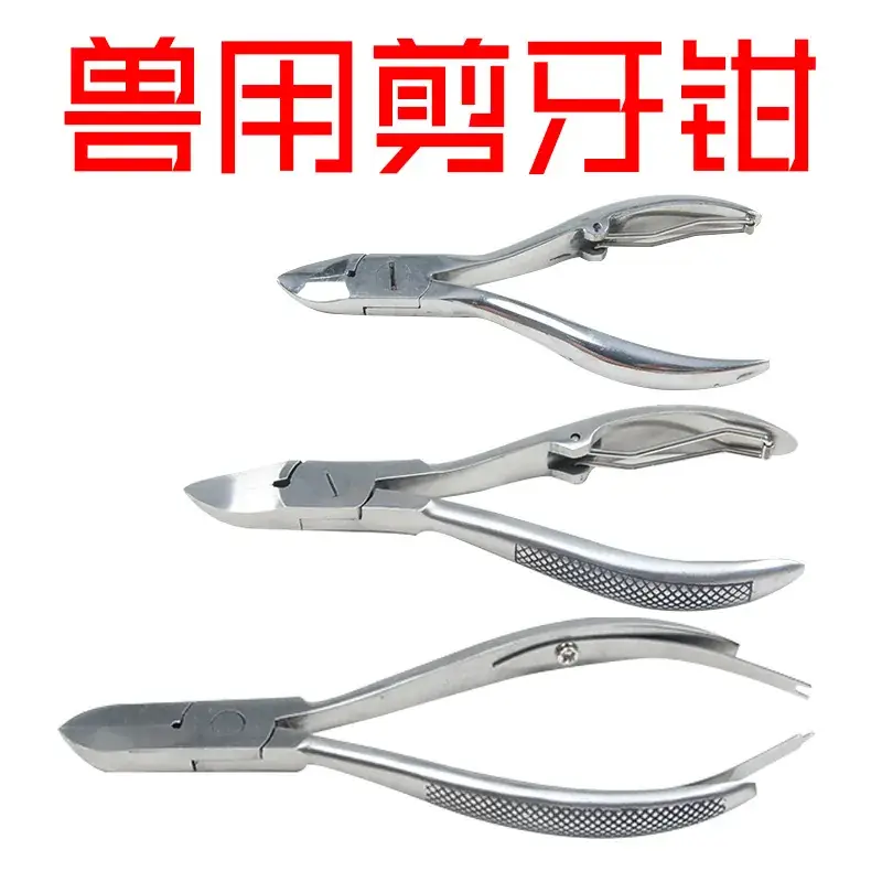 Stainless Steel Veterinary Dental Pliers Large Size