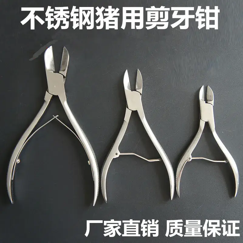 Stainless Steel Veterinary Dental Pliers Large Size