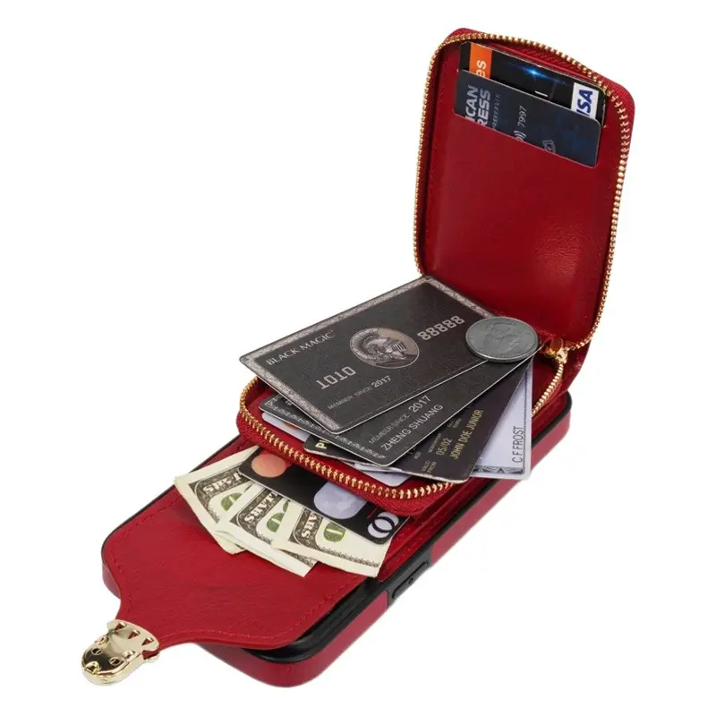 Multi-Card Lanyard with iPhone 17 Zipper Case