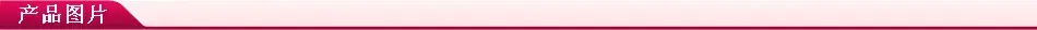Quantis Real Shot Ring Watch Pink Diamond Disc Fashion Retro Style — feature 3