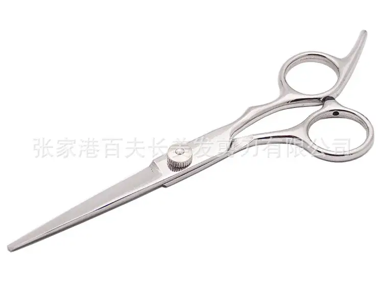 Stainless Steel Hair Scissors for Home Use - Image 3