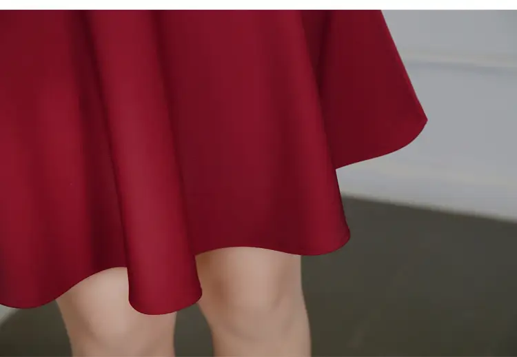 Maroon A-Line High Waist Skirt for Women Spring Summer 2024 Large — feature 15