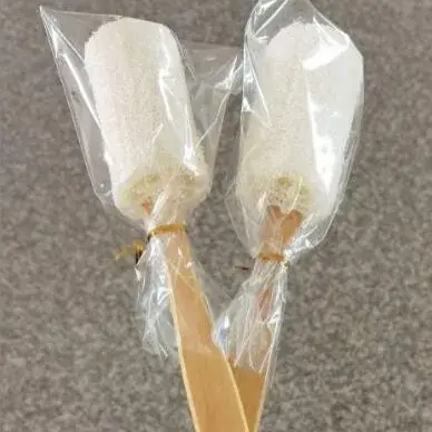 37 long wooden handle 10cm loofah brush (opp + tie silk)